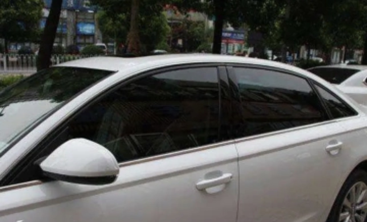 Protección Profesional